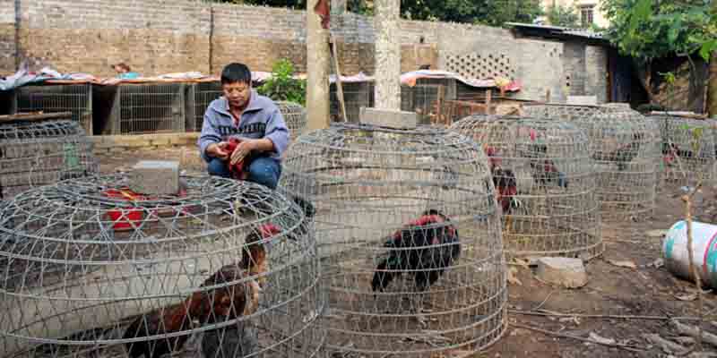 Chế độ luyện tập hay khi tham gia tại trang web