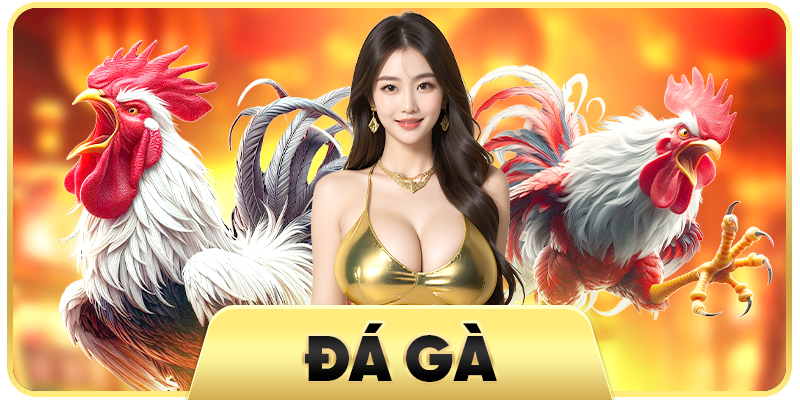 đá gà sao789